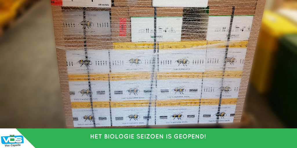 voscapelle's tweet photo. Het biologie seizoen is geopend, in samenwerking met @KoppertNL. #biologischebestrijding https://t.co/OY9p4v7iug