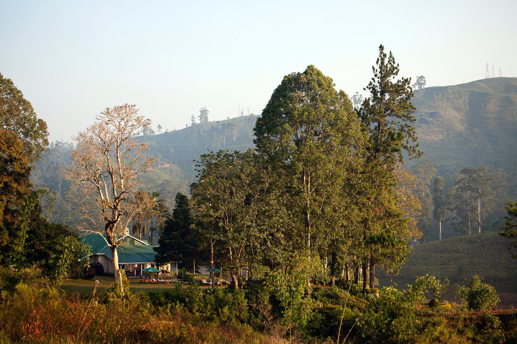 Only ExclusiveTravel tweet media