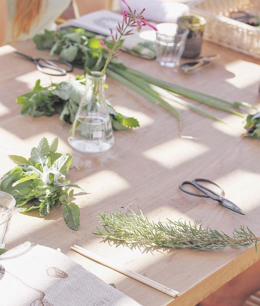 Centuries old but new to Babylonsotren, welcome to the healing garden where you can now br… ift.tt/2nbW0fp