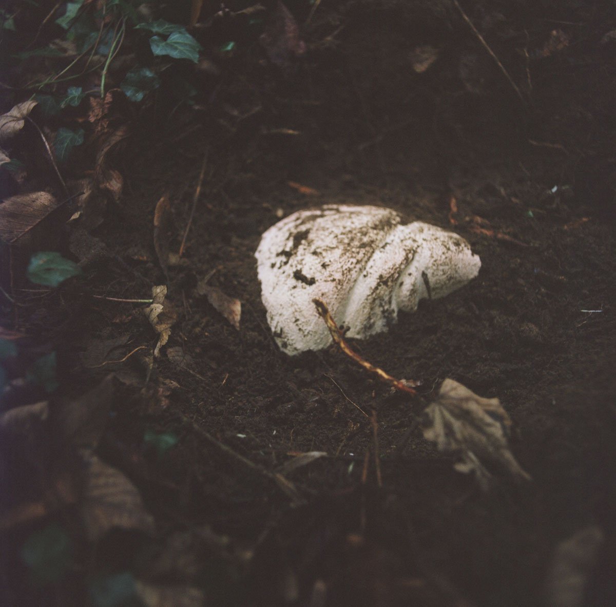 PLCommunication's tweet image. [Revue de presse]
La nouvelle #expo d'Edgar Sarin  commence vendredi au @CBernardins 

Via @lofficiel : offi.fr/expositions-mu…