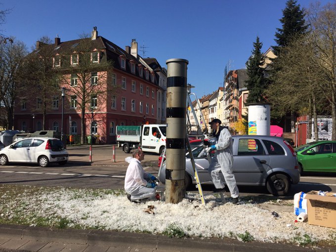 Bild auf Twitter anzeigen