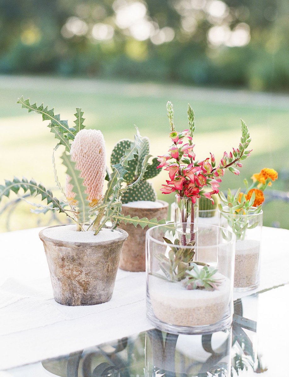 GreatEventDevon's tweet image. Succulents and botanicals are huge this season. And these are just perfect. greenweddingshoes.com/a-colorful-con…