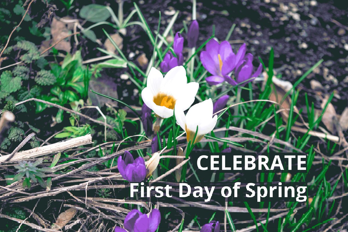 FindMeaningful's tweet photo. Celebrate first day of spring!🌷Join us for Change of Seasons Yoga Retreat, Mar 26, N Vancouver. Register: https://t.co/oVEUAgN6yT https://t.co/KmIWFSvOdJ