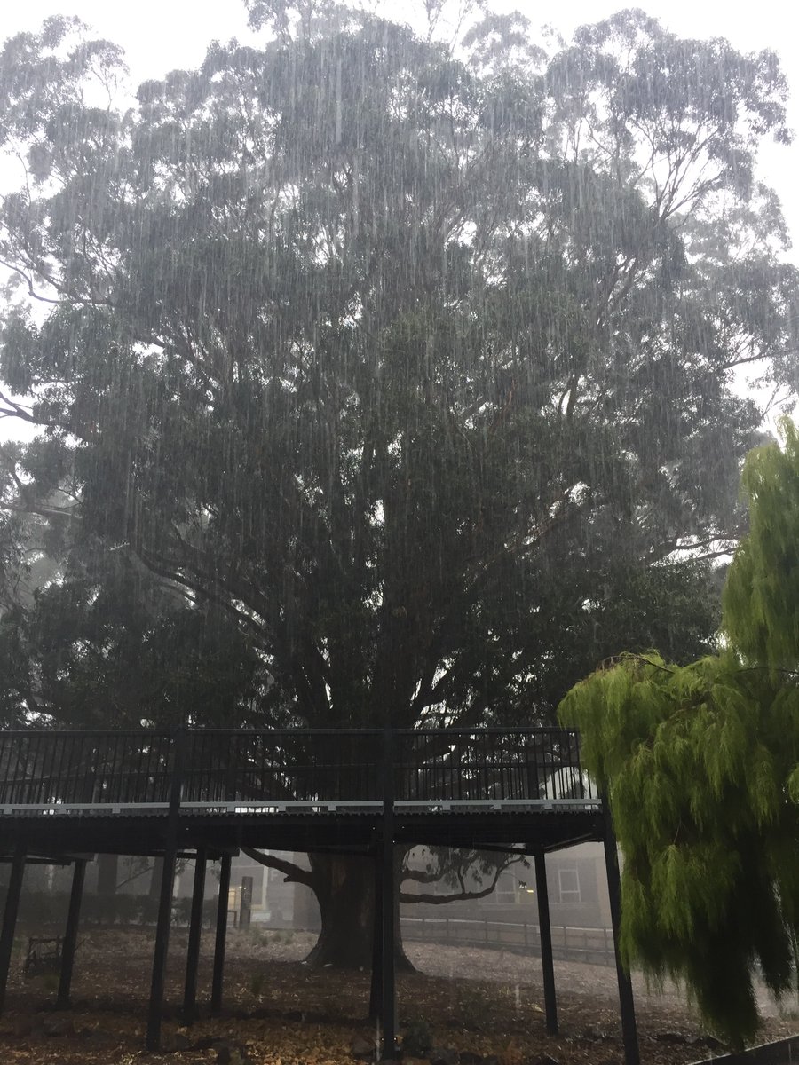 We’ve had rain and installed new pools! 🏊
Jokes aside, Mt Helen has had some flash flooding. Pls avoid the Student Lounge &amp; other areas. 🌊🐳🚣