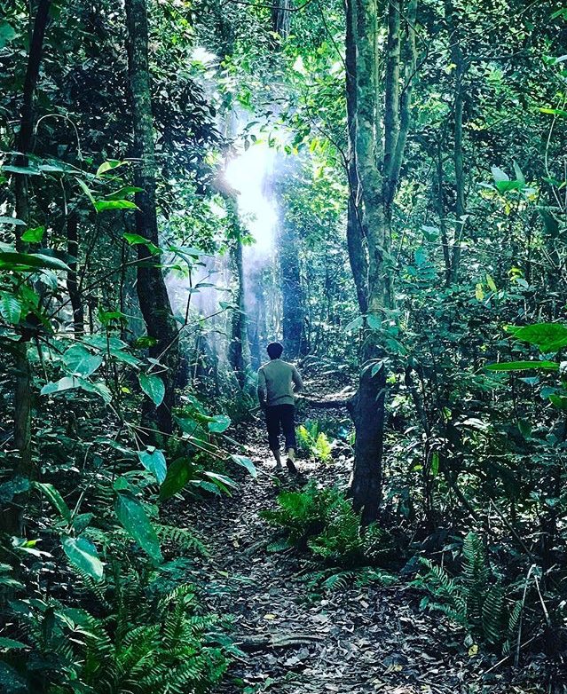 MulawinGMA's tweet photo. Tungo sa masukal na kagubatan. #MulawinvsRavena © Dennis Trillo https://t.co/GAWMAt8UN4