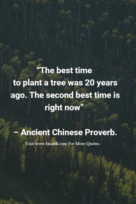 studentsvaganza's tweet photo. Selamat #HariHutanSedunia Students! Sudah berapa pohon yg pernah kamu tanam? #foresttalk #foresttale #climatechange #quote #intlforestday https://t.co/2eKmdBWGYN