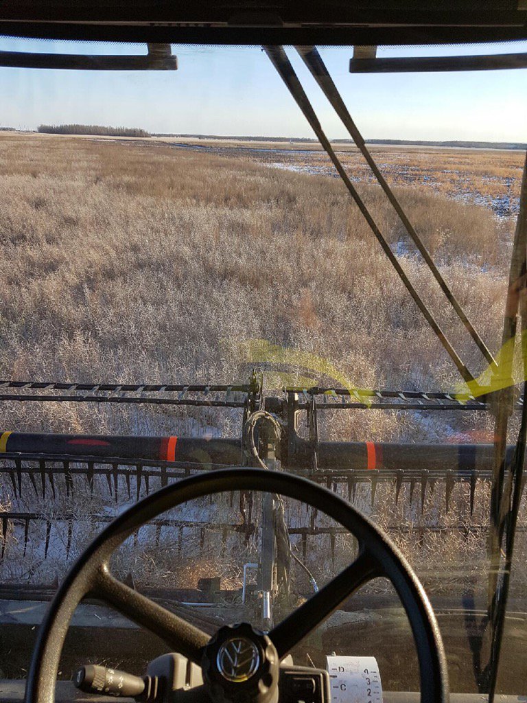 Harvest has begun in the Peace country on the first day of spring! Combining canola at Gauthier Farms Ltd