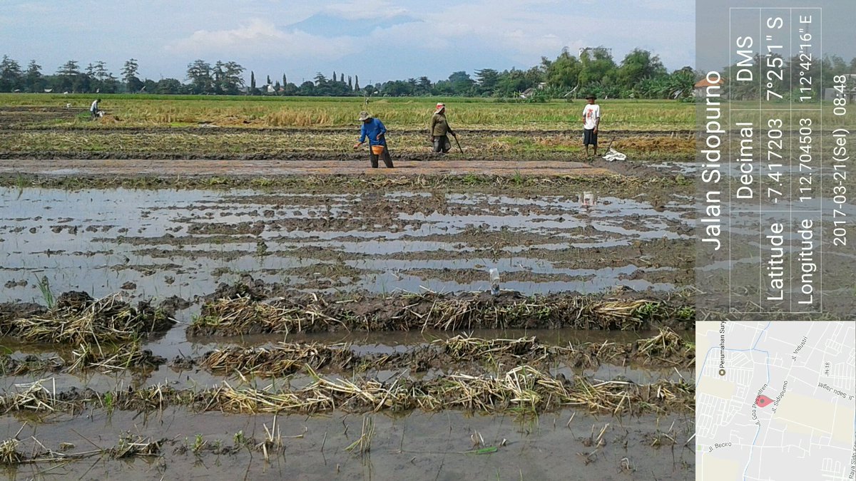 AfandiEkaPutra's tweet photo. Sebar Benih (20/3) Blok Rukem Sidokepung Buduran Sidoarjo #thltbpp https://t.co/VNAZ0l1Xi9