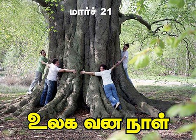 C7aXKn2WwAAvTDN.jpg:large