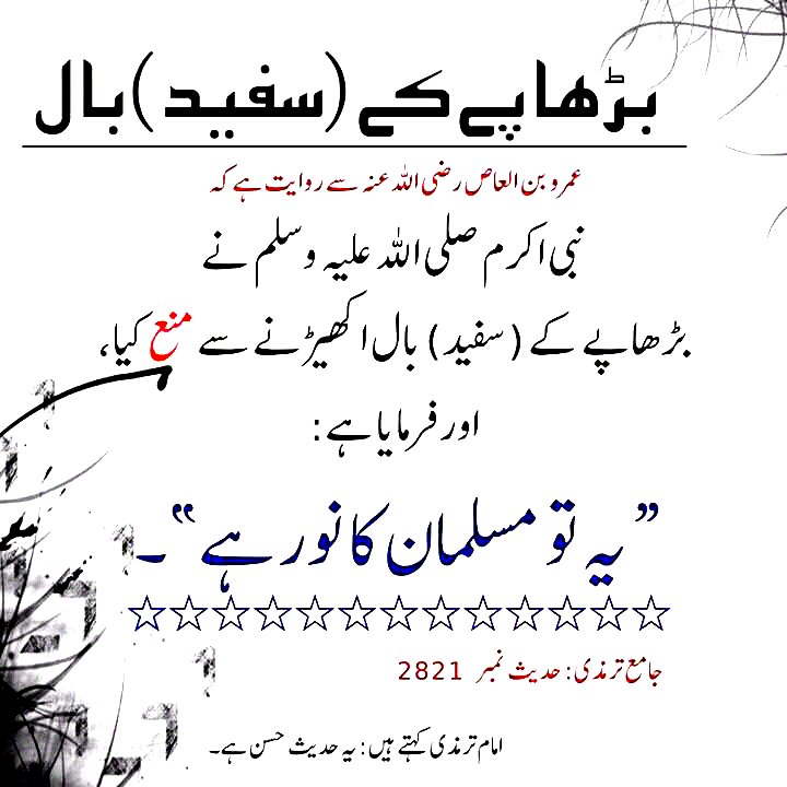 UrduIslamicSMS's tweet photo. #Rasool SAW Ne #Burhapy K (Safaid) Baal Ukherny Se Mana Kia
OR Farmaya!

"Ye to #Musalman Ka #Noor Hai"

(Tirmzi#2821)

#Urdu #Islamic #sMs https://t.co/zPxgbM1WrA