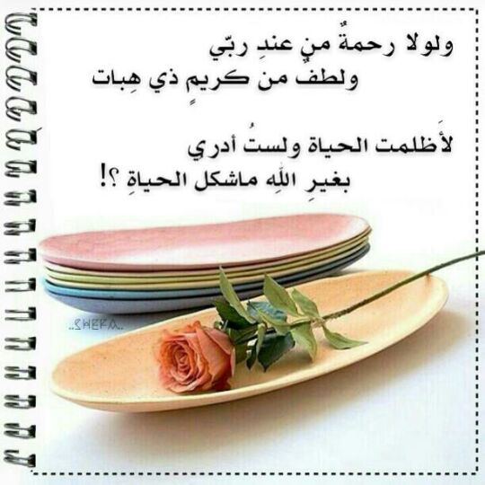 nada_314's tweet photo. https://t.co/YDeKOI9CDa