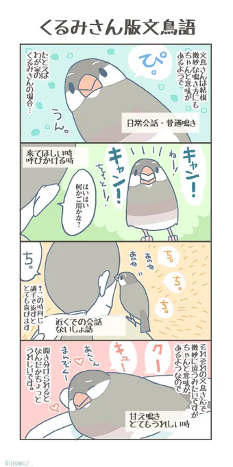 本当に細かい音の違いなのですが、気持ちがわかると なんだかうれしいです。

#buncho #javasparrow #文鳥 