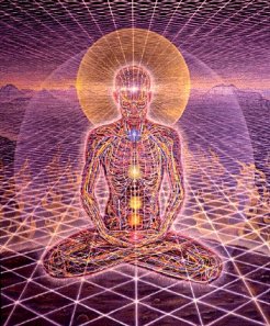 TreeOfGnosis tweet picture