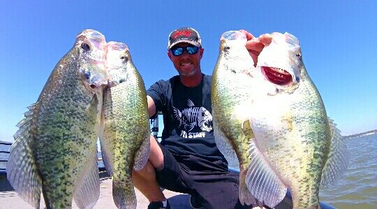 Russgates's tweet photo. Two words... Lake Fork!!! #SlabNasty #OzarkRods #SlabSlobber #AmpedUp https://t.co/aIuu4XNPCQ