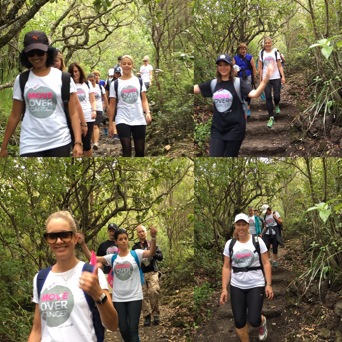 pincandsteel's tweet image. Walking for a great cause - #moveovercancer supporters walk to the top of Rangitoto Island today and raise over $7000 for #cancerrehab
