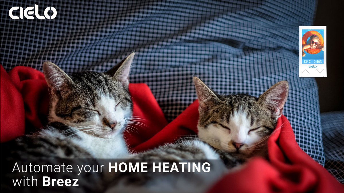 YESolutions3's tweet photo. Even the kittens are enjoying the heating luxuries possible through #Breez (Smart Controller for split ACs.
#Smarthome #Lovedones https://t.co/XwrH8ynSBd