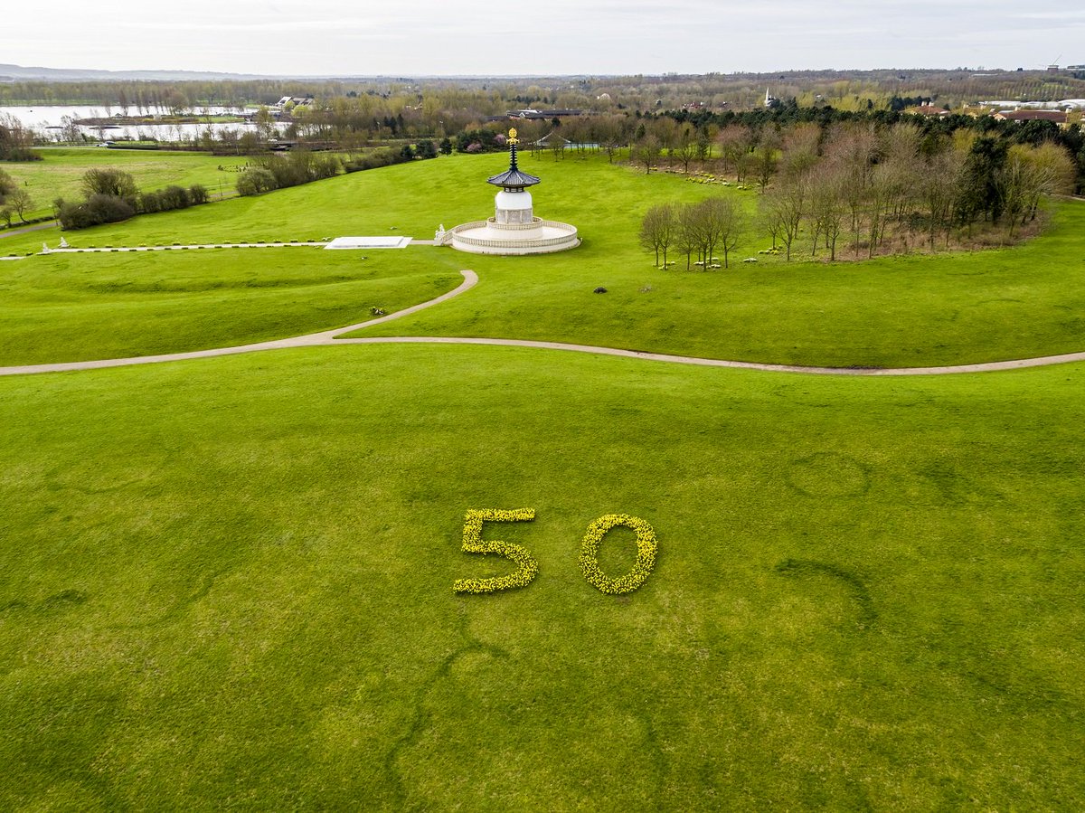 TheParksTrust's tweet photo. We're very pleased to share this lovely image of our Daffodils planted at Willen Lake North by our Volunteers to celebrate #MK50. https://t.co/OaUDtuaK1V