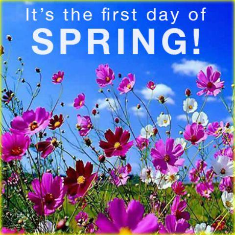 GoEuGo_EU tweet media