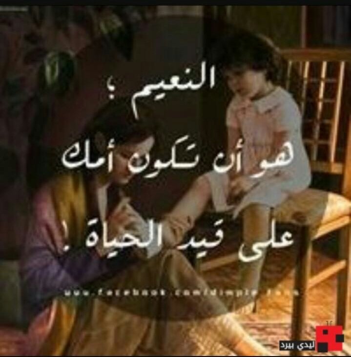 hia66671's tweet photo. ماعآد تلقآ في الزمن (قلب )صآدق
القلب وآحد والولآيف (ثلآثين)
رآحت قلوب النـآس مثل (الفنآدق)
تستقبل الزوآر لو هم (ملآيين )إلا( قلب الأم ) https://t.co/mho68LQDRu
