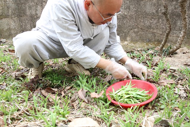 오늘은 봄을 만끽했어요. 그냥 볼 때는 보이지 않았던 것들이 고개를 낮추어 마음을 실어서 살펴보니 초록생 생명이 한창이네요.