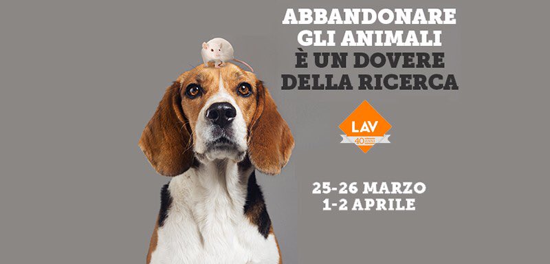 Scendiamo in piazza ... condividete e sosteniamo la ricerca con #zeroanimali @LAVonlus <a href="/LavTreviso/">LAV Treviso</a> #lav