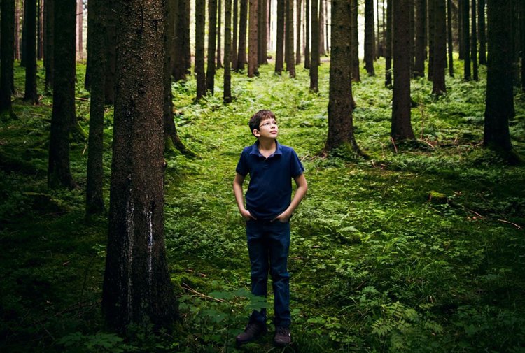 19 yaşındaki bir genç, 130 ülkede 14 milyar ağacın dikilmesini sağladı
gazetekarinca.com/2017/03/19-yas…