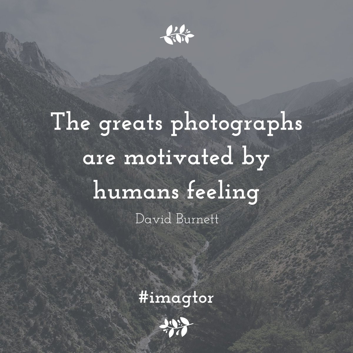 imagtor's tweet photo. #greatquote to motivate our #photographer friends! from #imagtor #realestatephotography #propertyphotography #photoediting https://t.co/AZ62lU4JsE