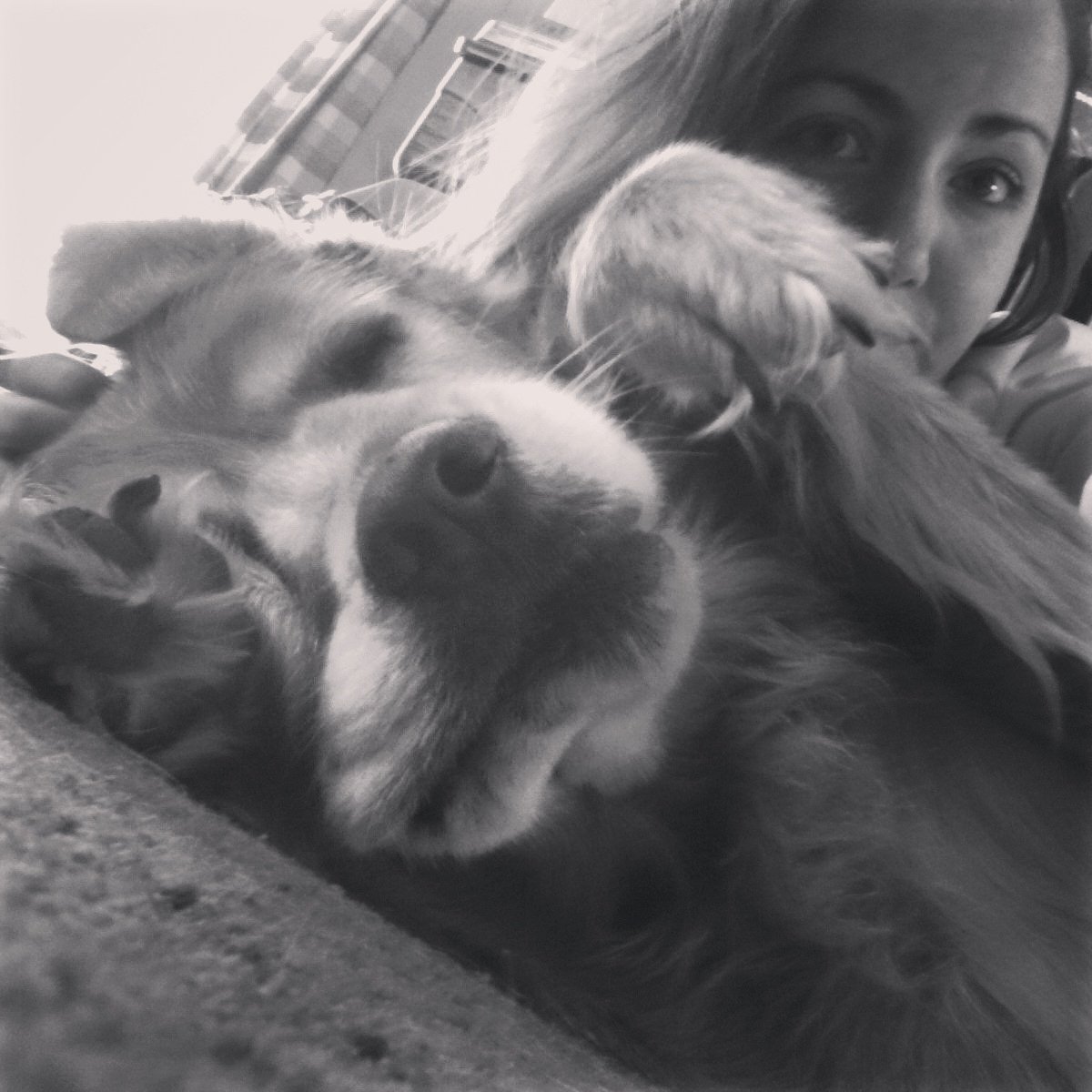 trip_with_me_97's tweet photo. This dog is my favorite๐๐ถโจ #dog #dogselfie #tiredaf #tb #sofluff https://t.co/Fa5WvHMFDv