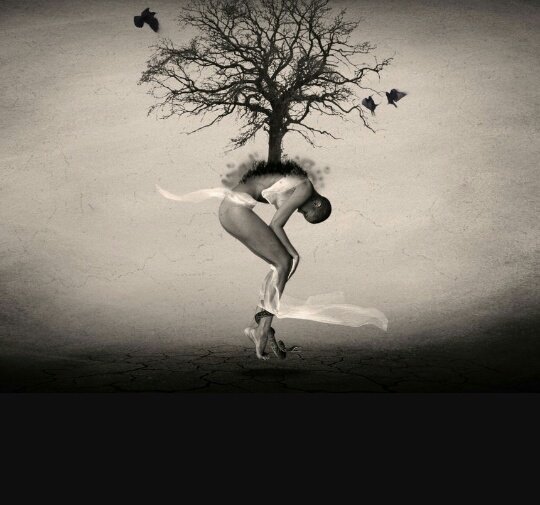_BlueMoon_00's tweet photo. Io mi nutro di dolore, e
piangendo
rido

Petrarca 

#GiornataMondialeDellaPoesia 
#PoesiaPortamiVia 
@CasaLettori https://t.co/BI0RBmcEDr