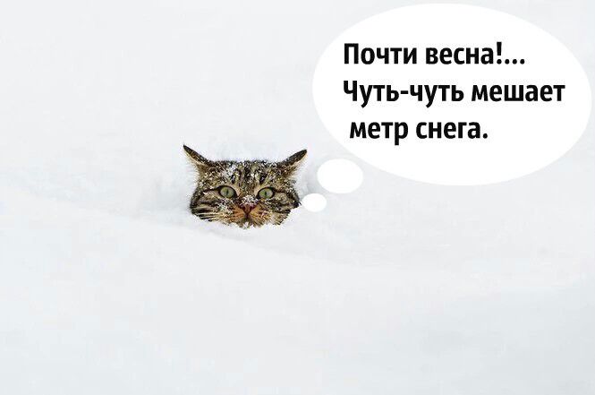 Как у вас весна? Теплая?