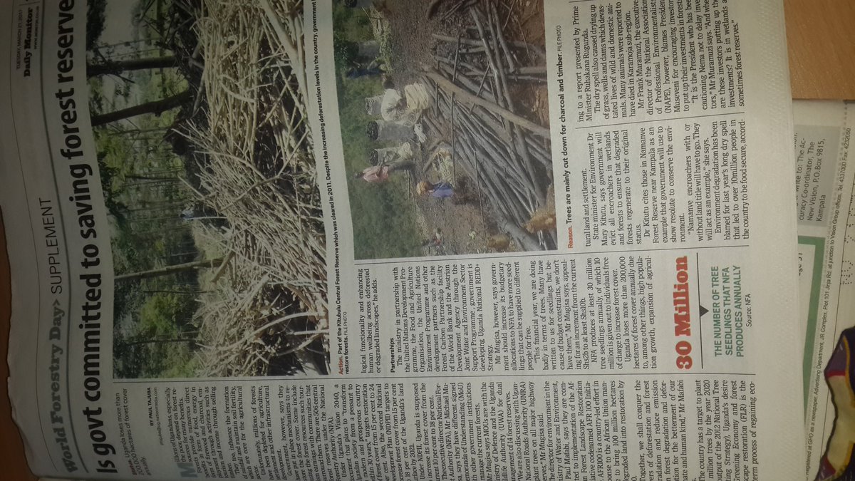 akandole's tweet photo. #ugandasforests @care_advocacy @CSBAGUGANDA Uganda left with only 7.4m hectares of trees. we need action now https://t.co/G5UmeTLA7b