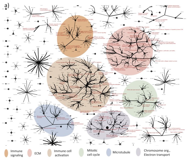 meisshaily's tweet photo. #Machinelearning reveals correlations of gene expression in RNA-Seq #data.
https://t.co/9yu0cRbKoW
#BigData #DataScience #AI #Python https://t.co/eLLN7sWBai
