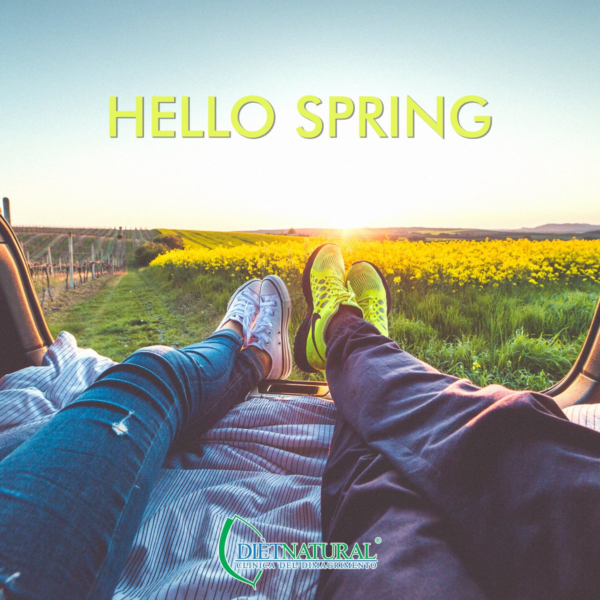 Dietnaturaloff's tweet photo. Benvenuta Primavera, La stagione che riporta in vita le cose più belle #spring #primavera https://t.co/zhR5yogrJD