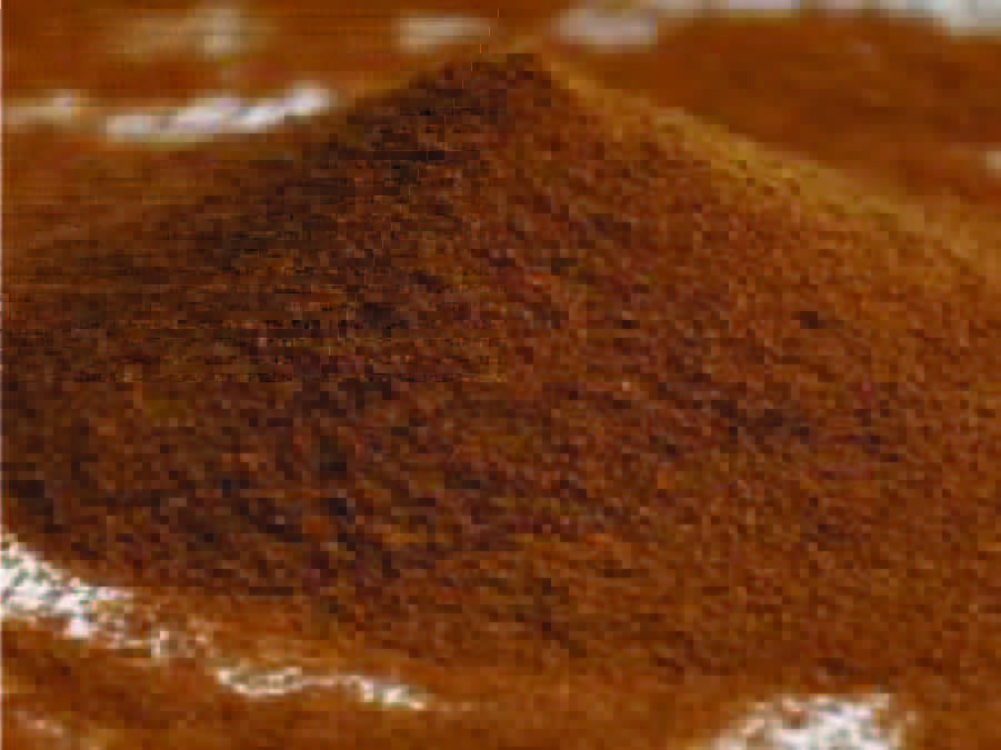 InstantCoffeeVN's tweet photo. Instant Coffee From Vietnam
Contact us to get good price and service!
•Email: shinesunxnk.vietnam@gmail.com
•Phone:(+84)977 533368 (Ms Diem) https://t.co/4VjhgumjYr