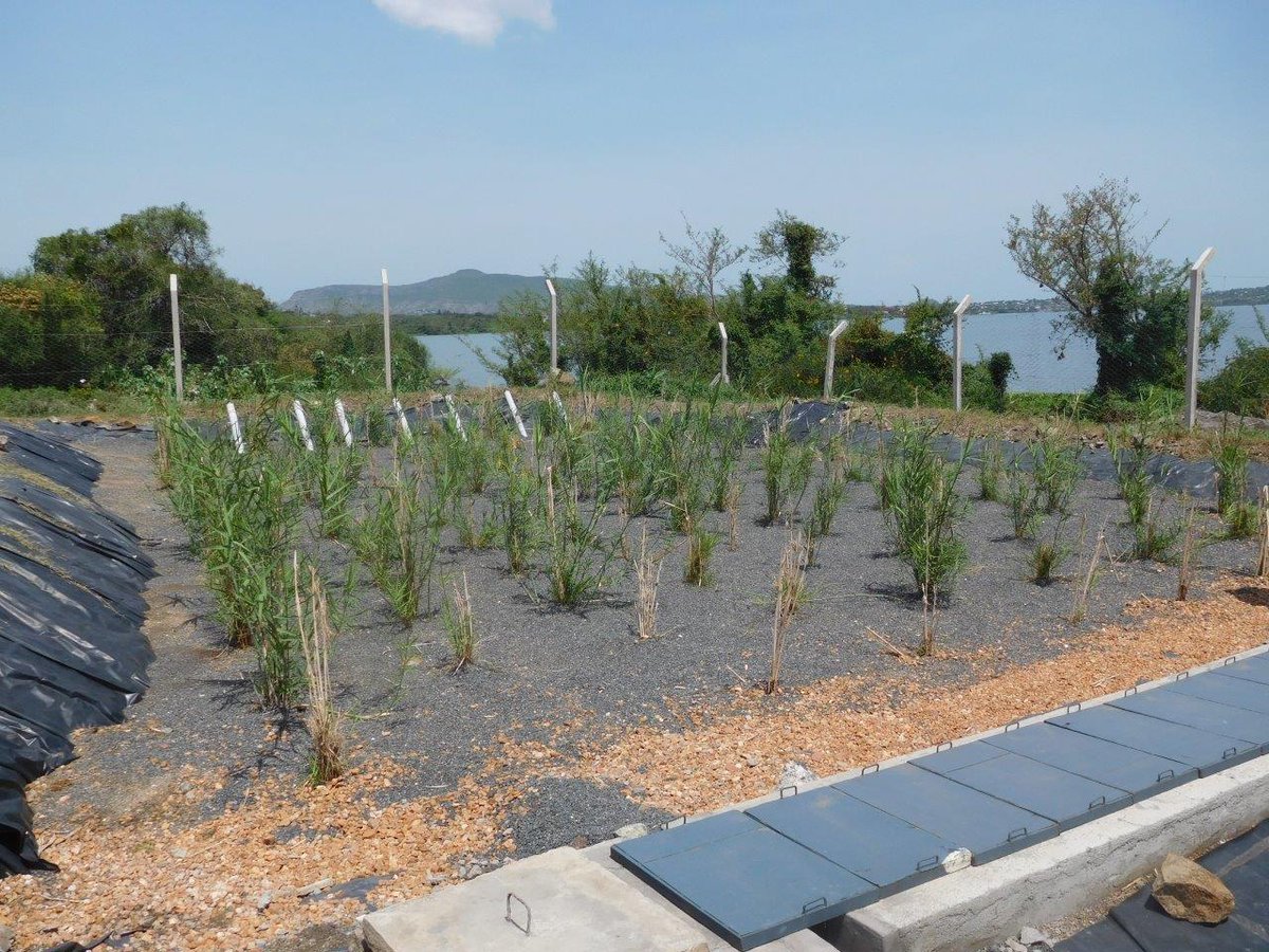wstf_ke's tweet photo. Protecting water resources of L. Victoria.Decentralised Treatment Facility, Homabay, safely treats faecal sludge. #WWD2017 @wrma_kenya https://t.co/Yf5CvpHeJC