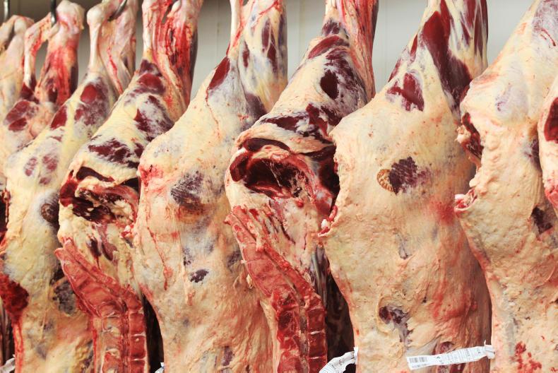 farmersjournal's tweet photo. Beef trends: firm demand but factories resisting higher prices https://t.co/ArgnPxuapY https://t.co/ZJfMSwtC4b
