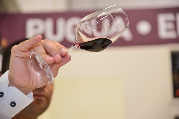 La #puglia del #vino cresce: esportazioni aumentano del 18,2%. Ecco chi sarà a #prowein ow.ly/Mkax30a6pd4