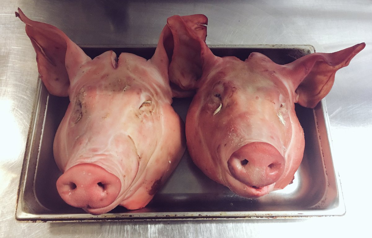 Pig&Goose tweet media