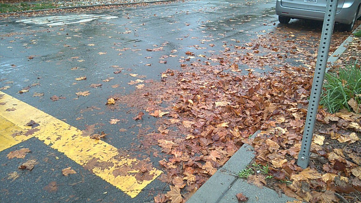 SneckdownLA's tweet photo. Wet leaves are the #Sneckdown of warmer climates. They prove where asphalt is unnecessary!
#leafdown #sleafdown https://t.co/Z3ALg3whfa