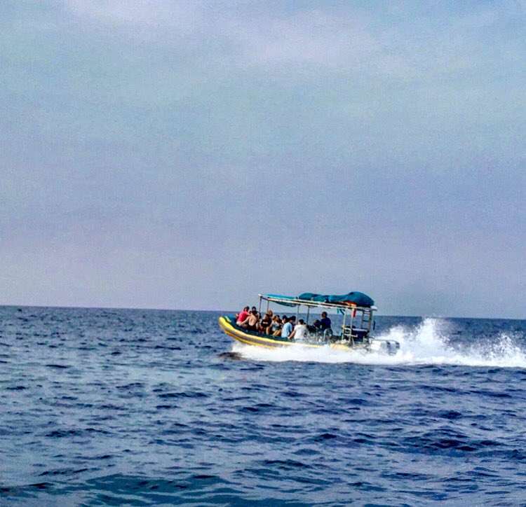 Leilani85's tweet photo. Five exhilarating hours cruising the Kona coast and stopping at three spectacular snorkeling sites! #hawaii #thebigisland #intersession2017 https://t.co/ICzIlmu6qX