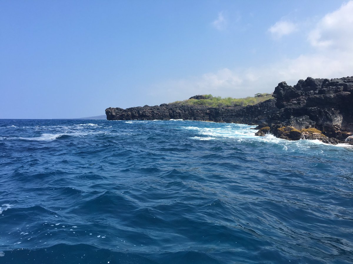 Leilani85's tweet photo. Five exhilarating hours cruising the Kona coast and stopping at three spectacular snorkeling sites! #hawaii #thebigisland #intersession2017 https://t.co/ICzIlmu6qX