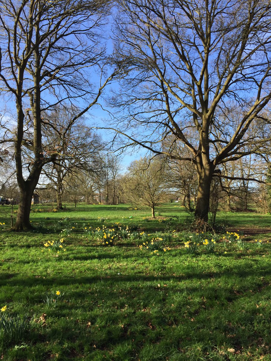 Beautiful morning #Spring #Ashtead