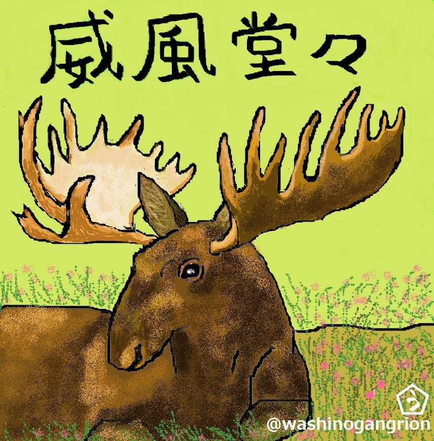 うーちゃぽこ Ar Twitter お題 威風堂々 ヘラジカ 箆鹿 Moose 哺乳綱偶蹄目シカ科ヘラジカ属 太古から存在 ヘラジカは人間社会で 強さ 知恵 たくましさの象徴 スウェーデンやノルウェーでは ヘラジカは 森の王 潜水能力と嗅覚を活かし食を楽しむ 絵