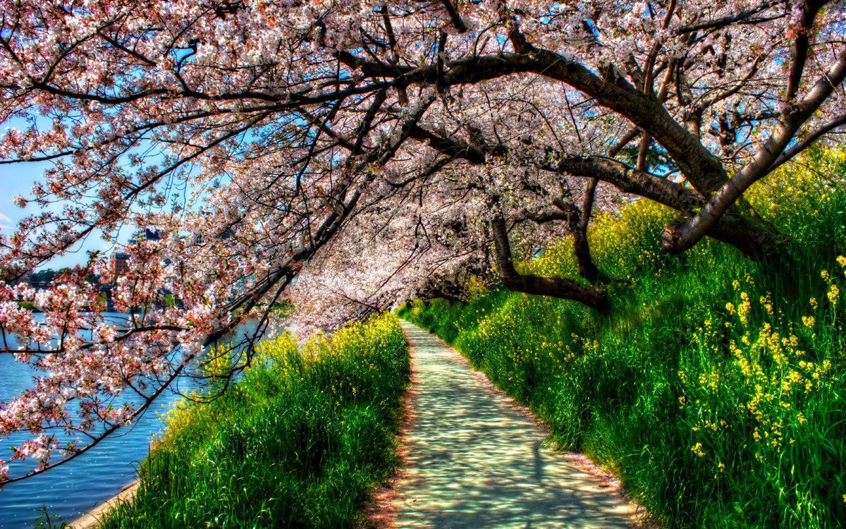 tozlucomTR's tweet photo. Baharın müjdecisi #Nevruz huzur, barış, bolluk ve bereket getirsin☀️🌏🌞🌳🌿🌺🌷🍀🌹💐 #tozlucom #bahar #ilkbahar #nevruz #21mart https://t.co/SWAbaKKhMN