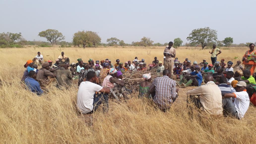 In the last ten years of more, this piece of land has alway been on fire every dry season. Thanks to #fmnr regeration in fantastic progress