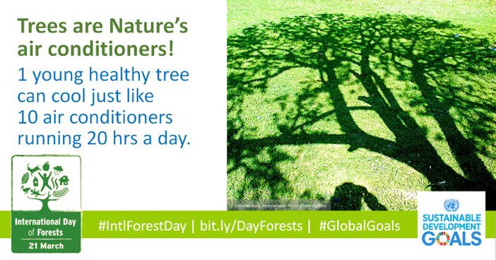 AdamRogers2030's tweet image. Trees are nature’s air conditioners. Learn and share useful facts on #IntlForestDay: bit.ly/DayForests #GlobalGoa... by #ORUFOGAR