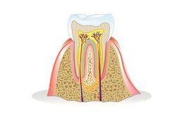 favoriteplus's tweet photo. Root Canal: Do You Need One? https://t.co/dJRzGkkifM #dental #procedure https://t.co/hacw5Hg4l8