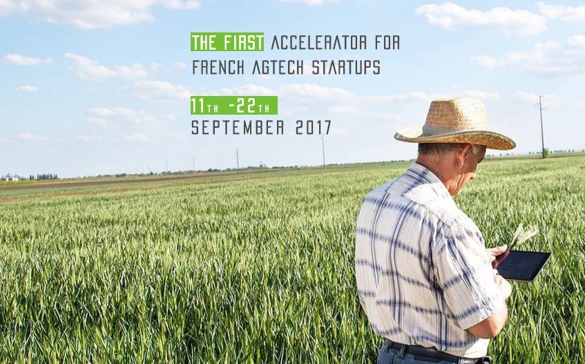 bymaddyness's tweet photo. #EnBref : @businessfrance recrute des startups de l'#AgTech pour son programme d'accélération #AgriNEST https://t.co/ObQuhpuvSE