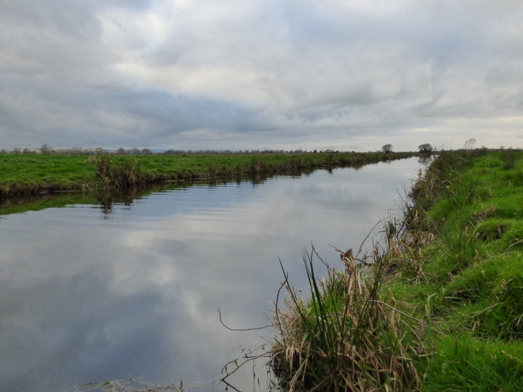 lovethelevels's tweet image. Thanks to those looking after the rhynes &amp;amp; rivers on the #SomersetLevels this spring  @waterlevels @EnvAgencySW @IDBengineer @WestcountryRT