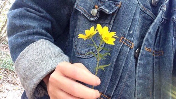 Blankedposts's tweet image. a flower cannot blossom without sunshine